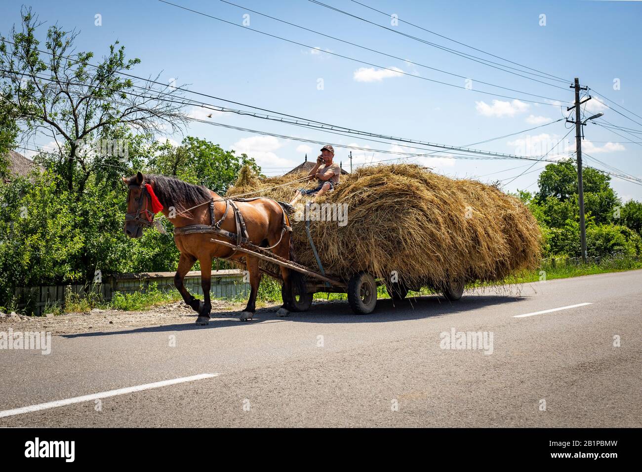 Bucovina / Roumanie - agriculteur roumain sur une campagne charrette en Roumanie - vie quotidienne. Banque D'Images
