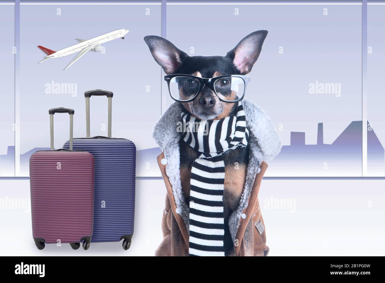 Billet de chien Banque de photographies et d’images à haute résolution Alamy