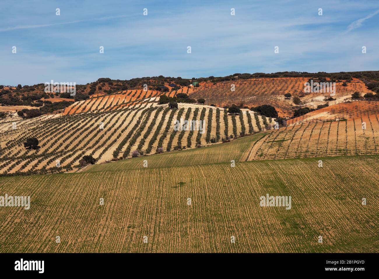 Le patchwork de paysage cultivé parmi les collines andalouses dans le sud de l'Espagne Banque D'Images