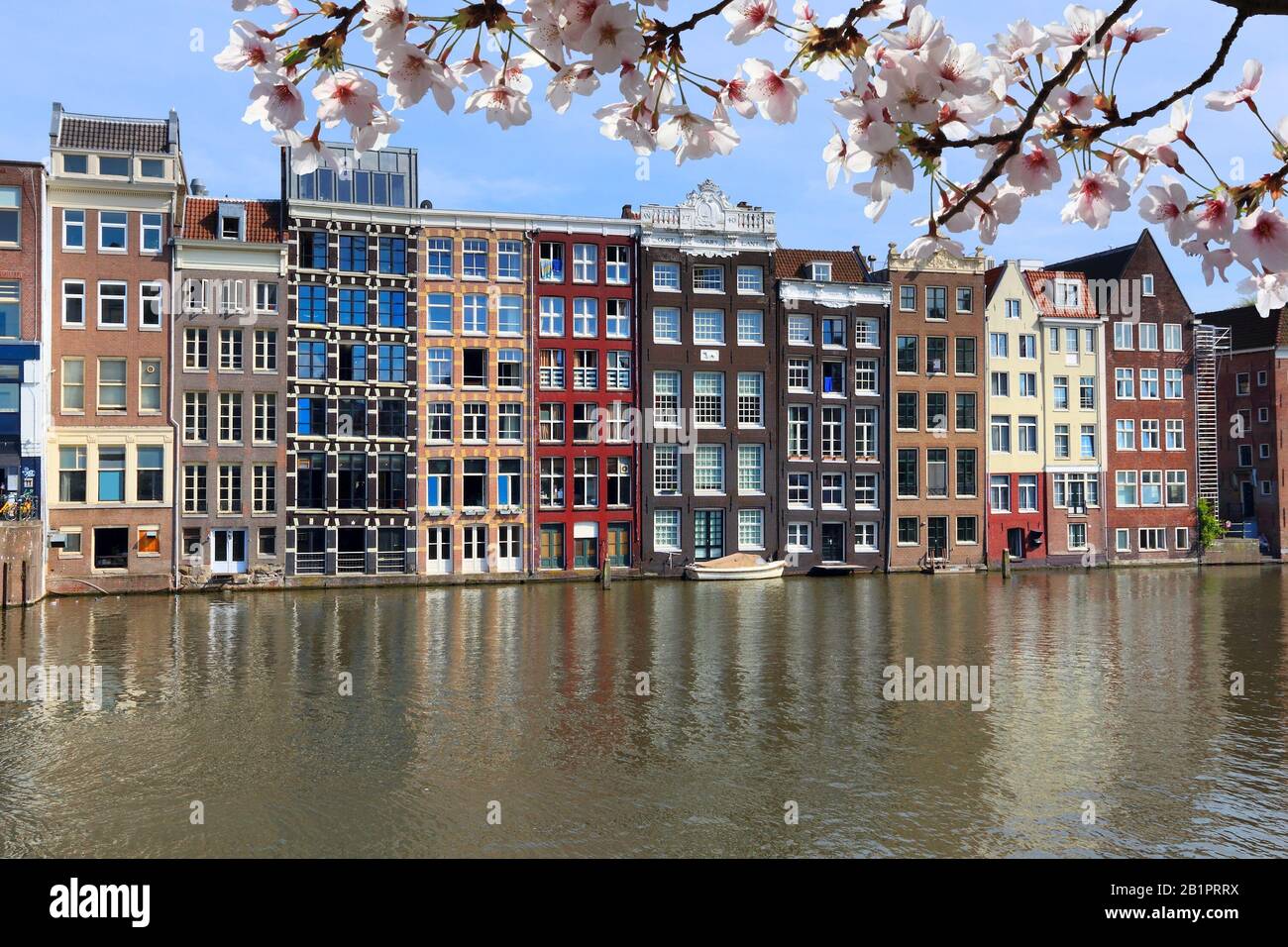 Vue sur le canal d'Amsterdam - bord de mer du canal de Damrak dans le quartier de de Wallen. Fleurs de cerisier de printemps. Banque D'Images