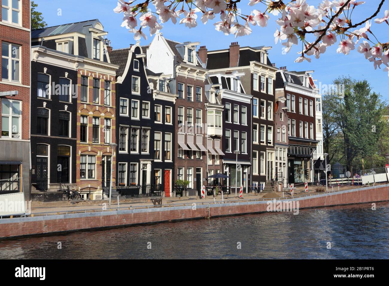 Vue sur le canal d'Amsterdam - les serres du canal Prinsengracht dans le quartier de Wallen. Fleurs de cerisier de printemps. Banque D'Images