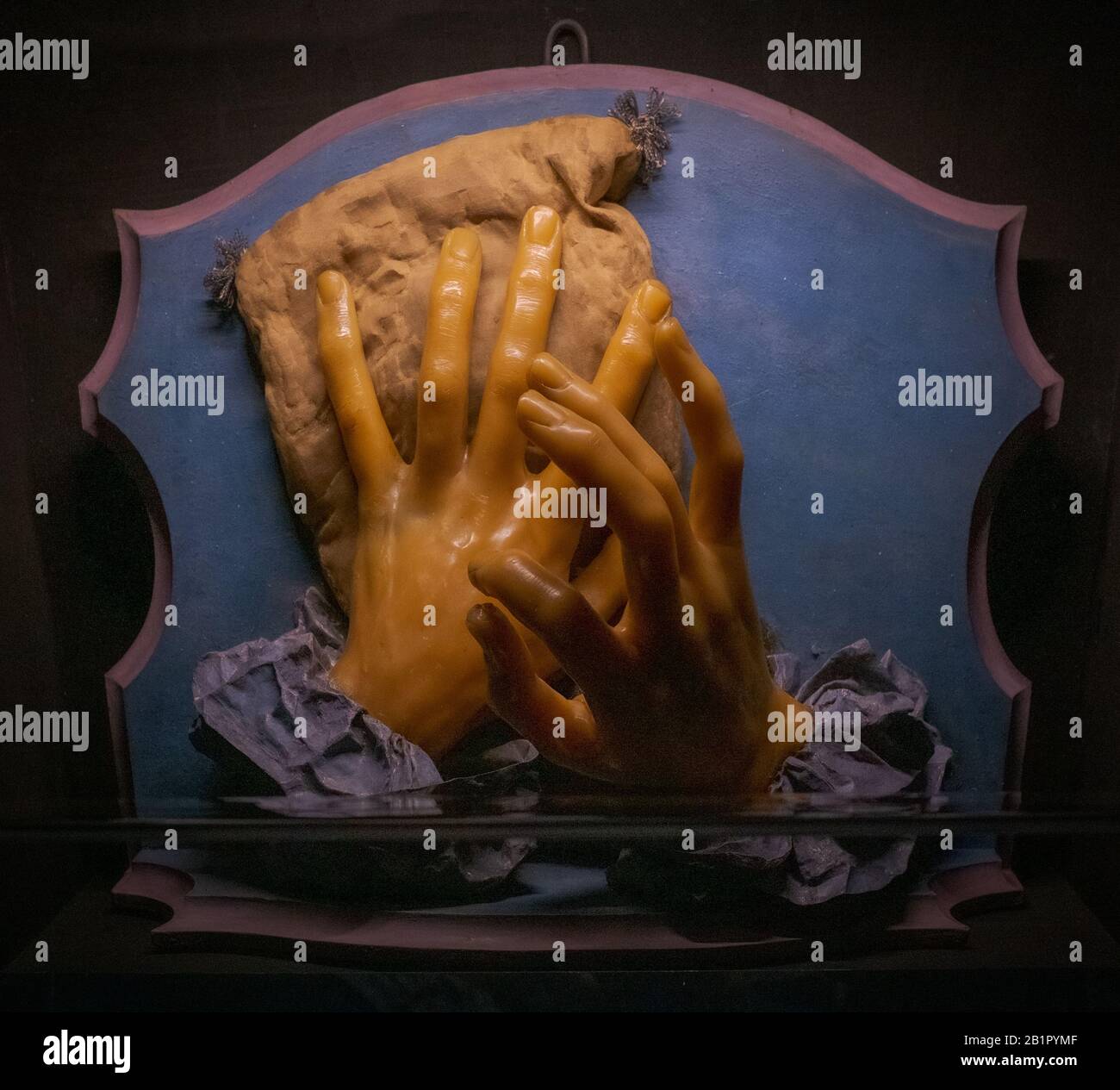 02/01/2020 - Bologne, Italie. Anna Morandi Minzolini (1714-1774), mains Sensibles, travail de cire, vers 1756. Musée Du Palazzo Poggi. Banque D'Images