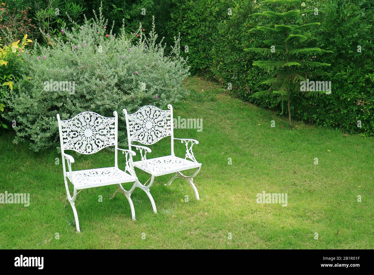 Paire de chaises en fer forgé blanc de style vintage dans le jardin vert  Photo Stock - Alamy