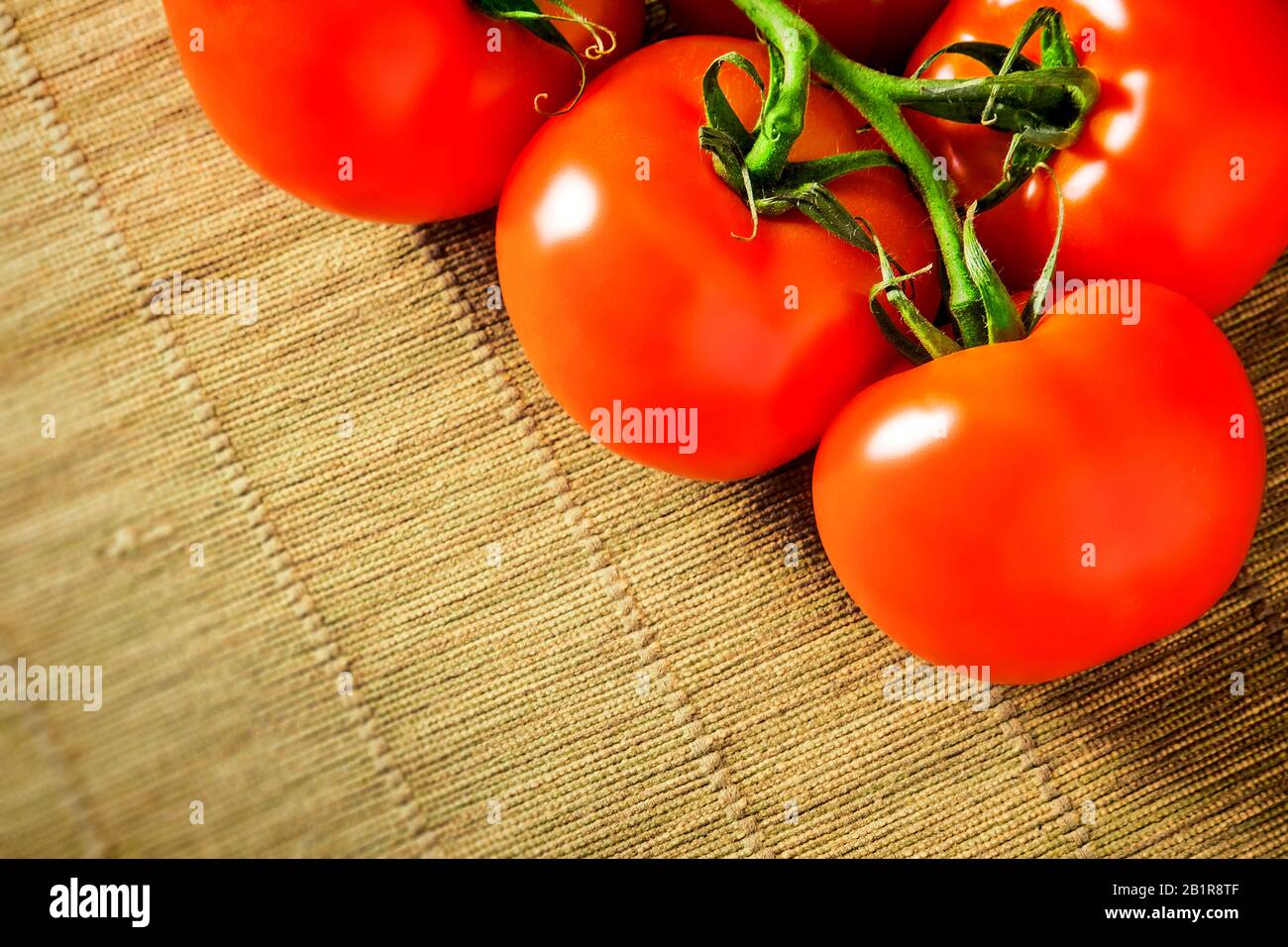 Jardin la tomate (Solanum lycopersicum, Lycopersicon esculentum), tomates Banque D'Images