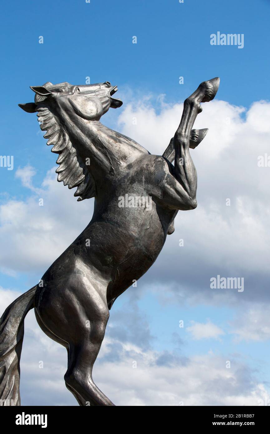 Une sculpture de cheval dans le village de Cerro Castillo à la périphérie du parc national de Torres del Paine, Patagonia, Chili. Banque D'Images