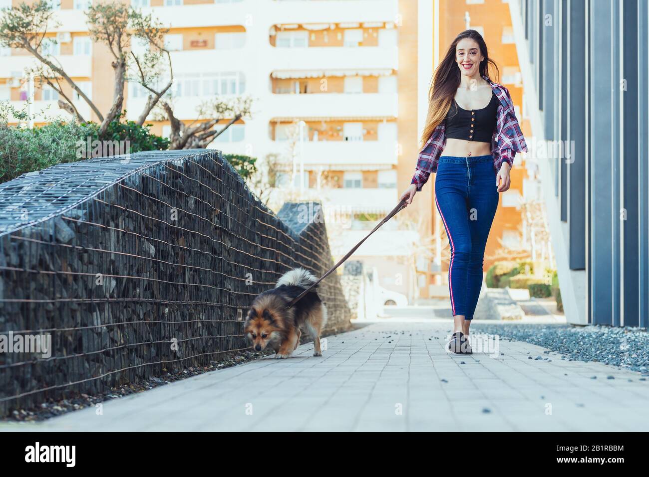 Femme marchant chien dans la rue de la ville Banque D'Images