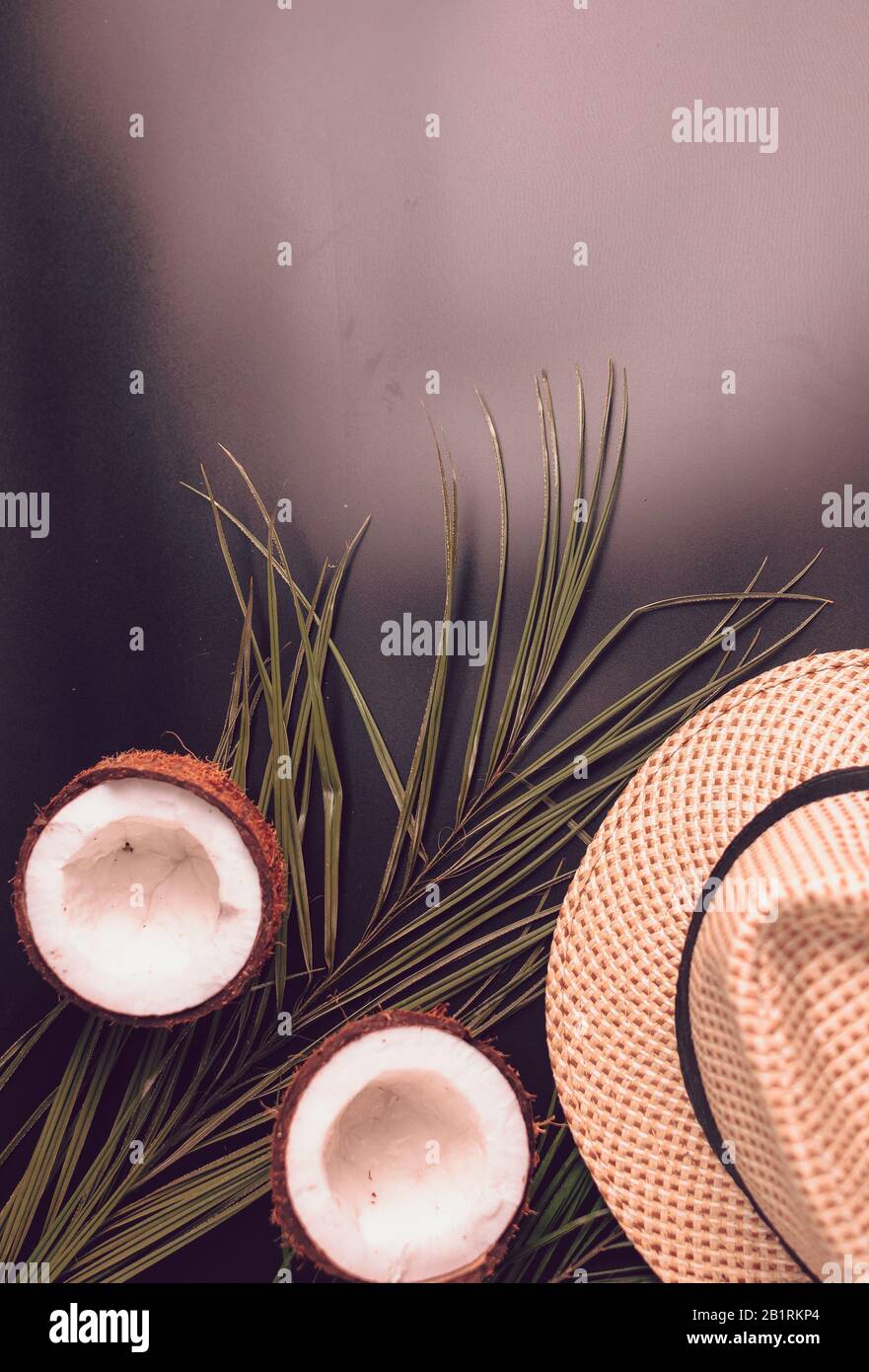 Composition estivale avec lampes au néon. Feuilles de palmiers tropicales, chapeau, noix de coco sur fond sombre. Le concept de la saison estivale, des fêtes et de la chaleur. Plat Banque D'Images