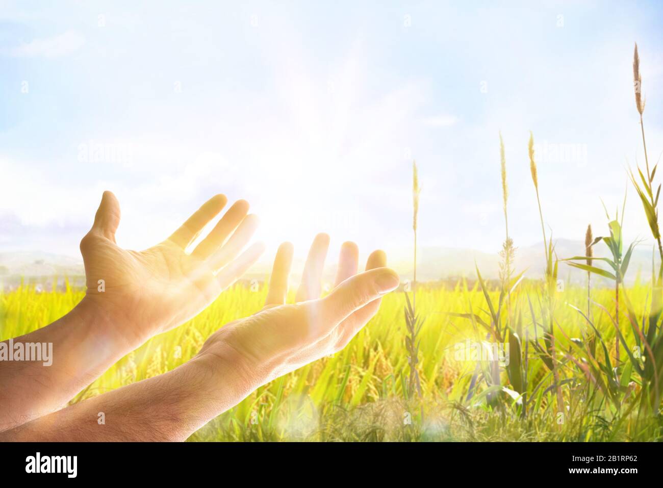 Mains avec paumes en haut dans le champ avec des étincelles et rayon de lumière. Composition horizontale Banque D'Images