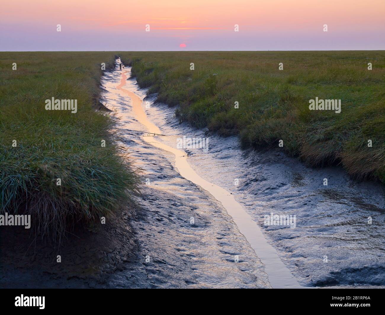 courant creek avec coucher de soleil à Westerhever, péninsule d'Eiderstedt, Frise du Nord, Schleswig-Holstein, Allemagne, Banque D'Images courant creek avec coucher de soleil à Westerhever, péninsule d'Eiderstedt, Frise du Nord, Schleswig-Holstein, Allemagne, Banque D'Images