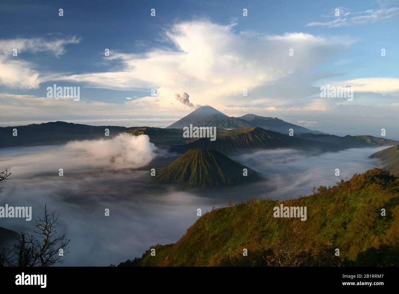 Cratère actif de Bromo sur la gauche, volcan Batok devant et volcan Semeru derrière, Parc national Bromo Tengger Semeru, île Java, Indonésie Banque D'Images