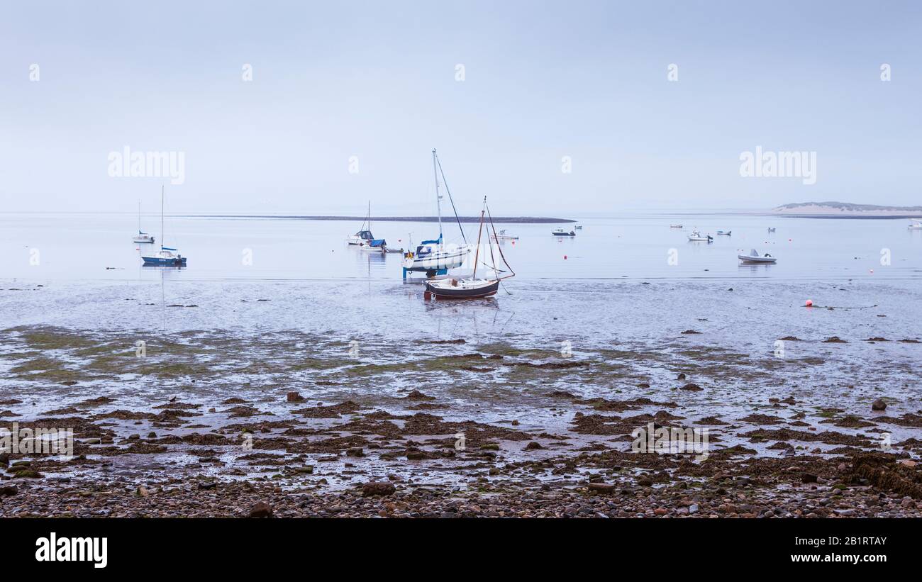 Île Sainte de Lindisfarne, Berwick-on-Tweed, Northumberland, Angleterre, Royaume-Uni Banque D'Images