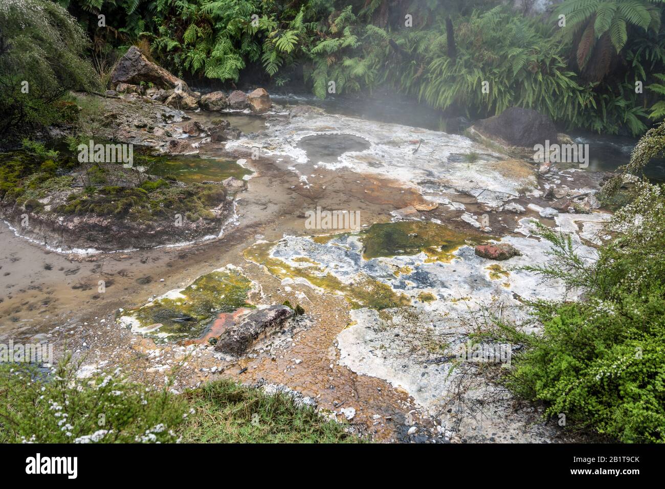 Paysage du parc de la vallée de Waimangu avec de l'eau claire et des sédiments minéraux de couleur incrustée dans le ruisseau, tiré dans un feu de printemps nuageux à Rotorua, au nord Banque D'Images