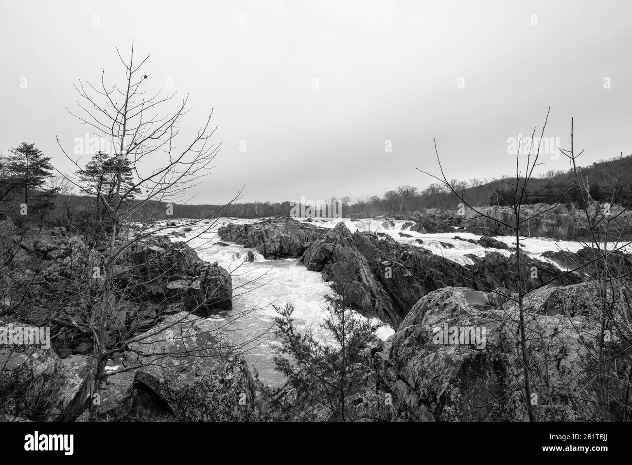 Potomac River Rapids, Great Falls, Virginie, États-Unis Banque D'Images