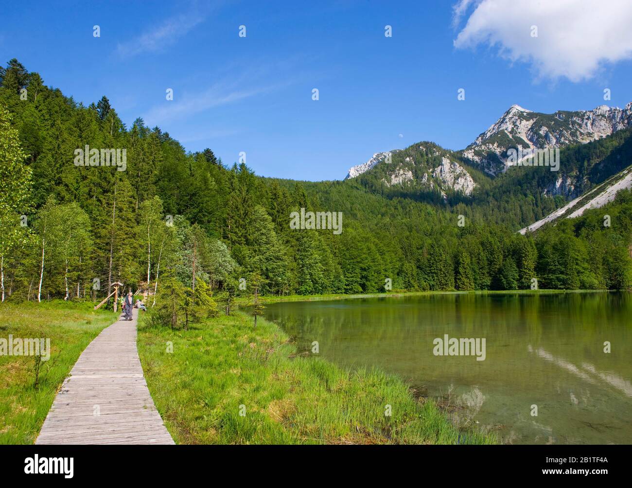 Alpes De Chiemgau, Frillensee, Inzell, Quartier De Traunstein, Bavière, Allemagne Banque D'Images