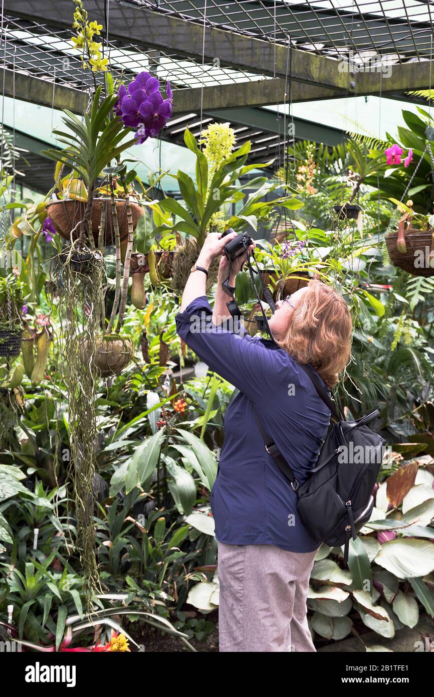 dh Botanic Gardens CAIRNS AUSTRALIE femme touriste photographie des plantes tropicales Dans le jardin d'hiver de la maison de papillons gens jardin de fleurs Banque D'Images