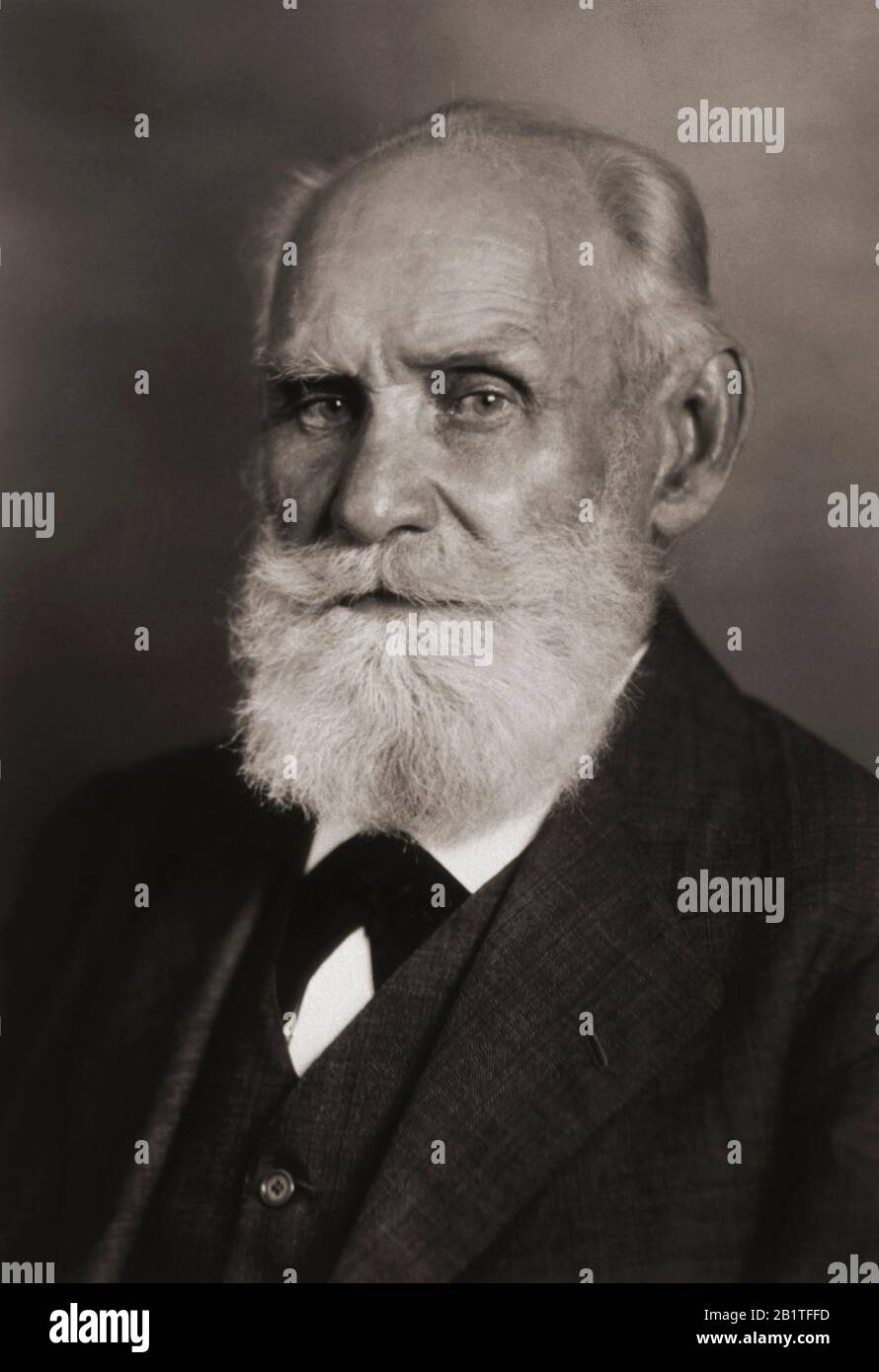 Ivan Petrovich Pavlov (1849-1936), physiologiste russe connu pour ses travaux sur le conditionnement classique, lauréat du prix Nobel de physiologie ou de médecine en 1904. Photographie de portrait. Banque D'Images