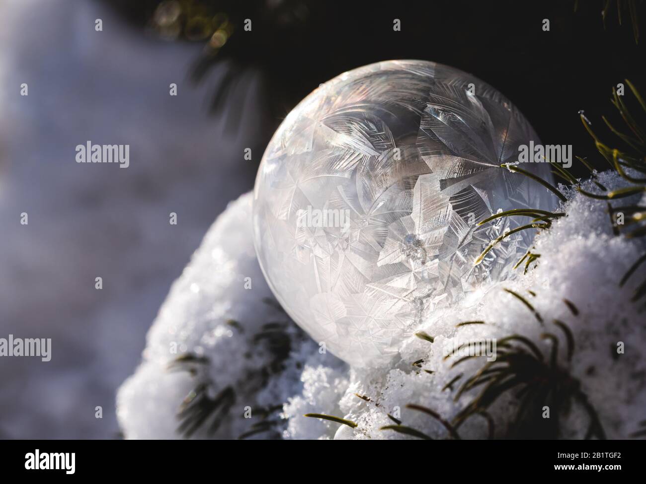 Bulle de savon surgelée dans un arbre recouvert de neige, le jour de l'hiver. Banque D'Images