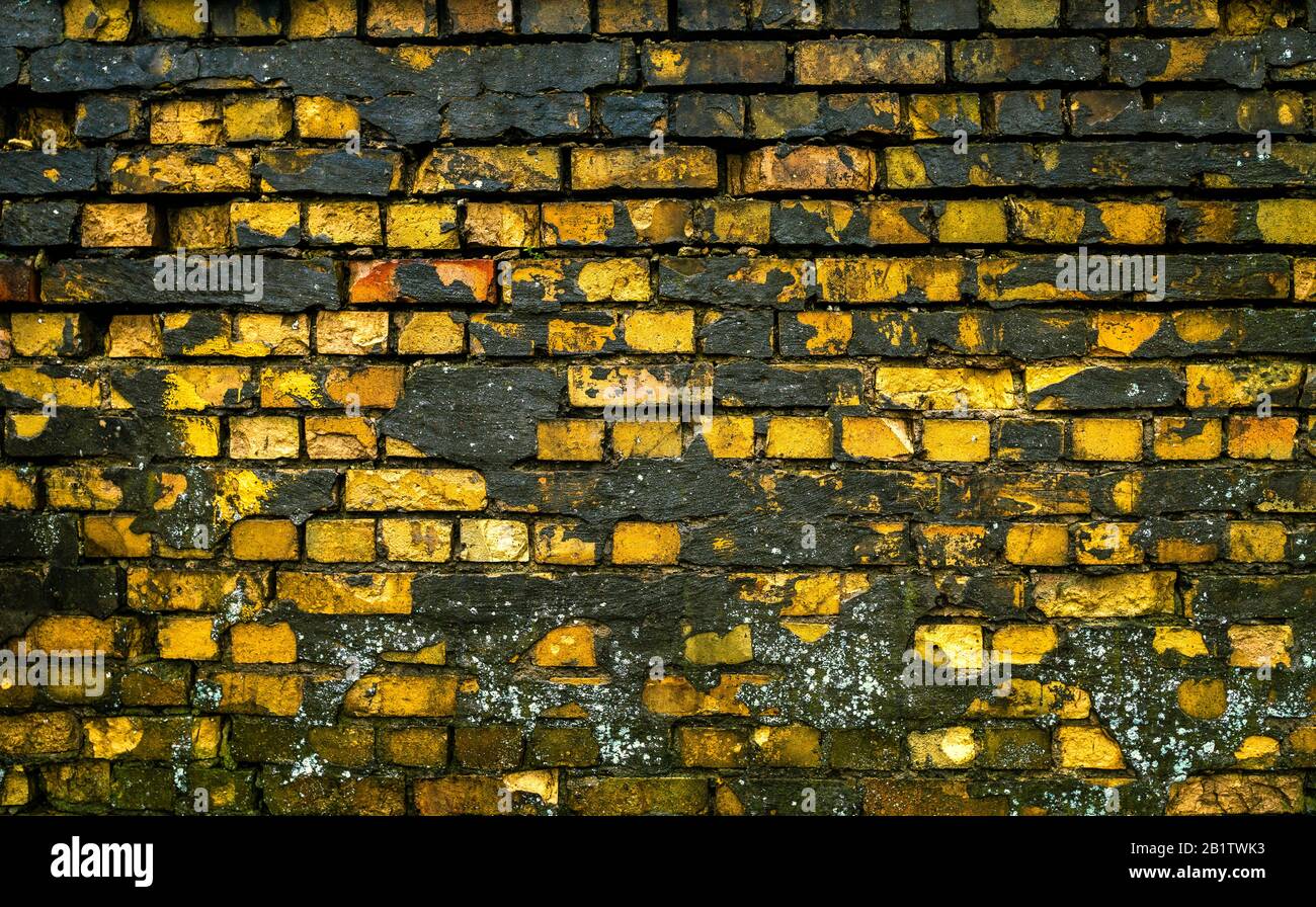 Brickwall périmé avec le béton en miettes en noir et jaune Banque D'Images