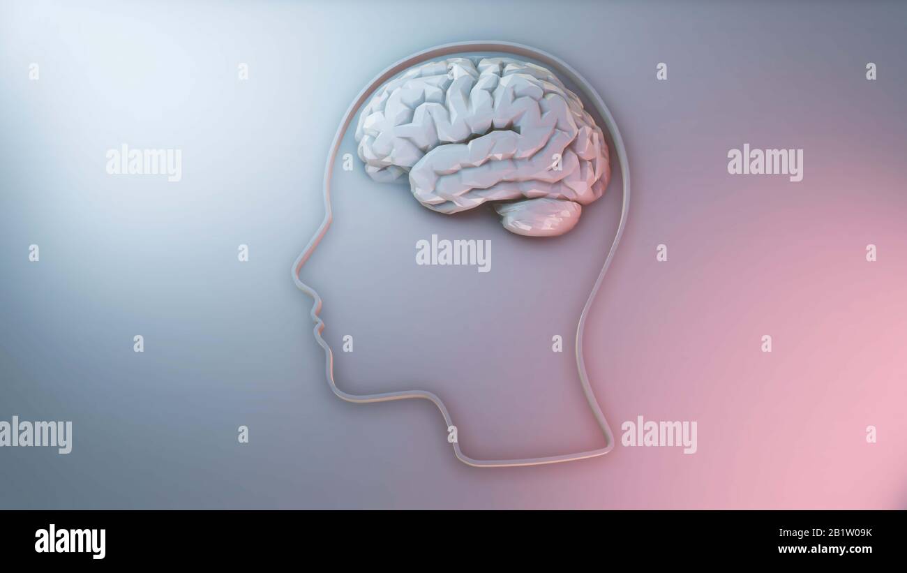 Cerveau humain - intelligence et créativité illustration tridimensionnelle Banque D'Images