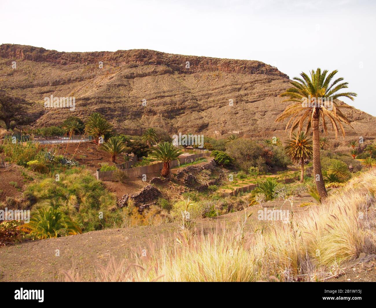 Gran Canaria (Îles Canaries, Espagne) Banque D'Images