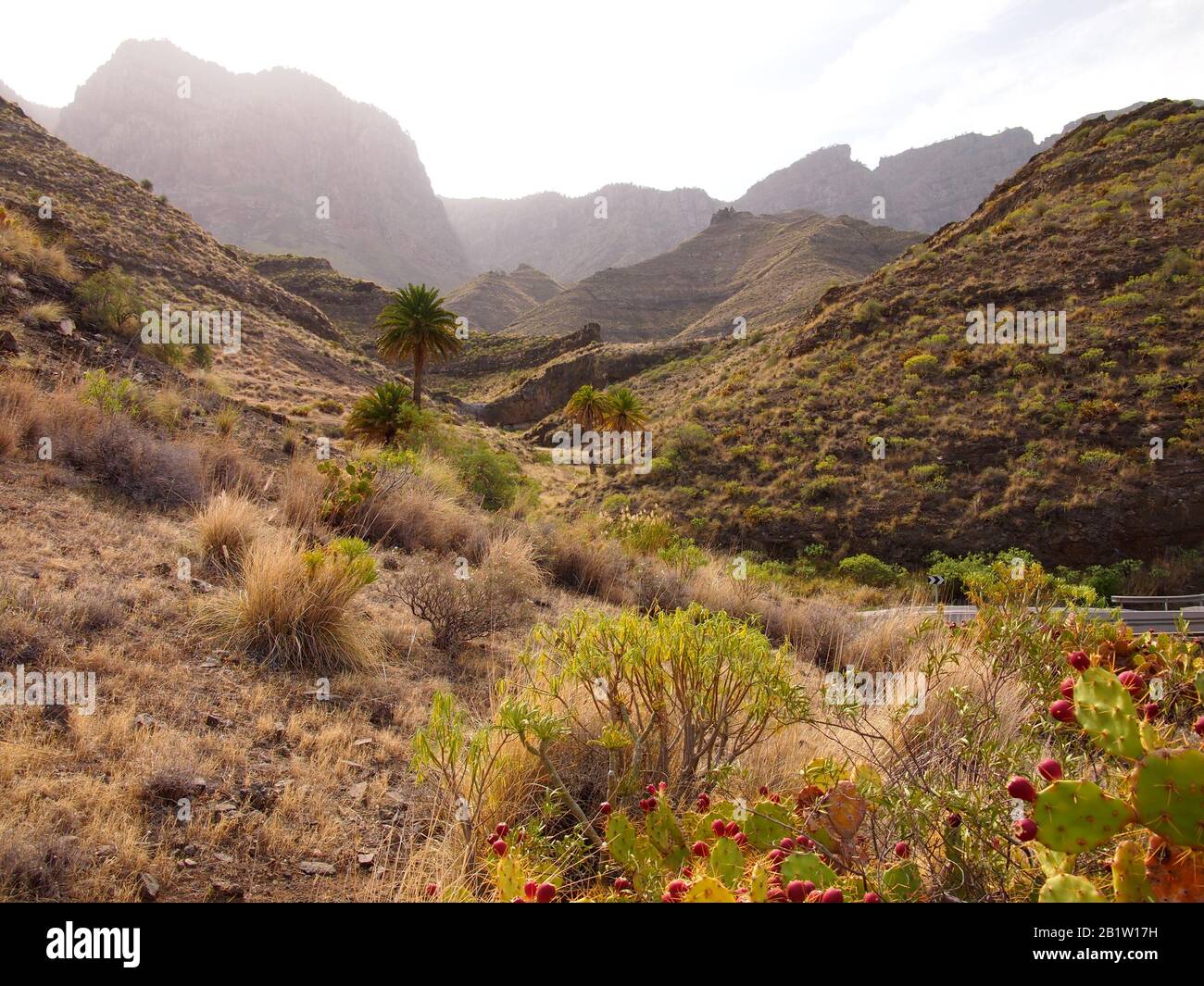 Gran Canaria (Îles Canaries, Espagne) Banque D'Images