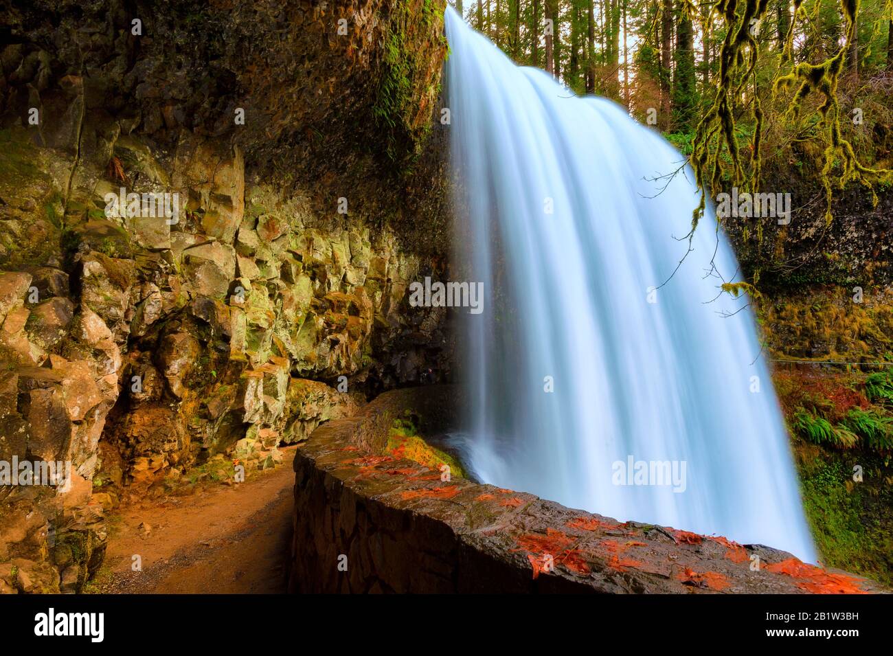 Les chutes du Nord s'envole au-dessus de la falaise après les fortes pluies de l'automne dans le parc national de Silver Falls en Oregon Banque D'Images