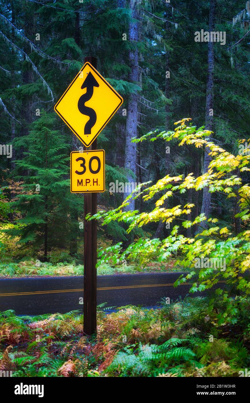 Un panneau indiquant la nécessité de conduire lentement en raison de la route sinueuse le long du col McKenzie dans la chaîne de montagnes Cascade de l'Oregon. Feuilles colorées d'automne Banque D'Images