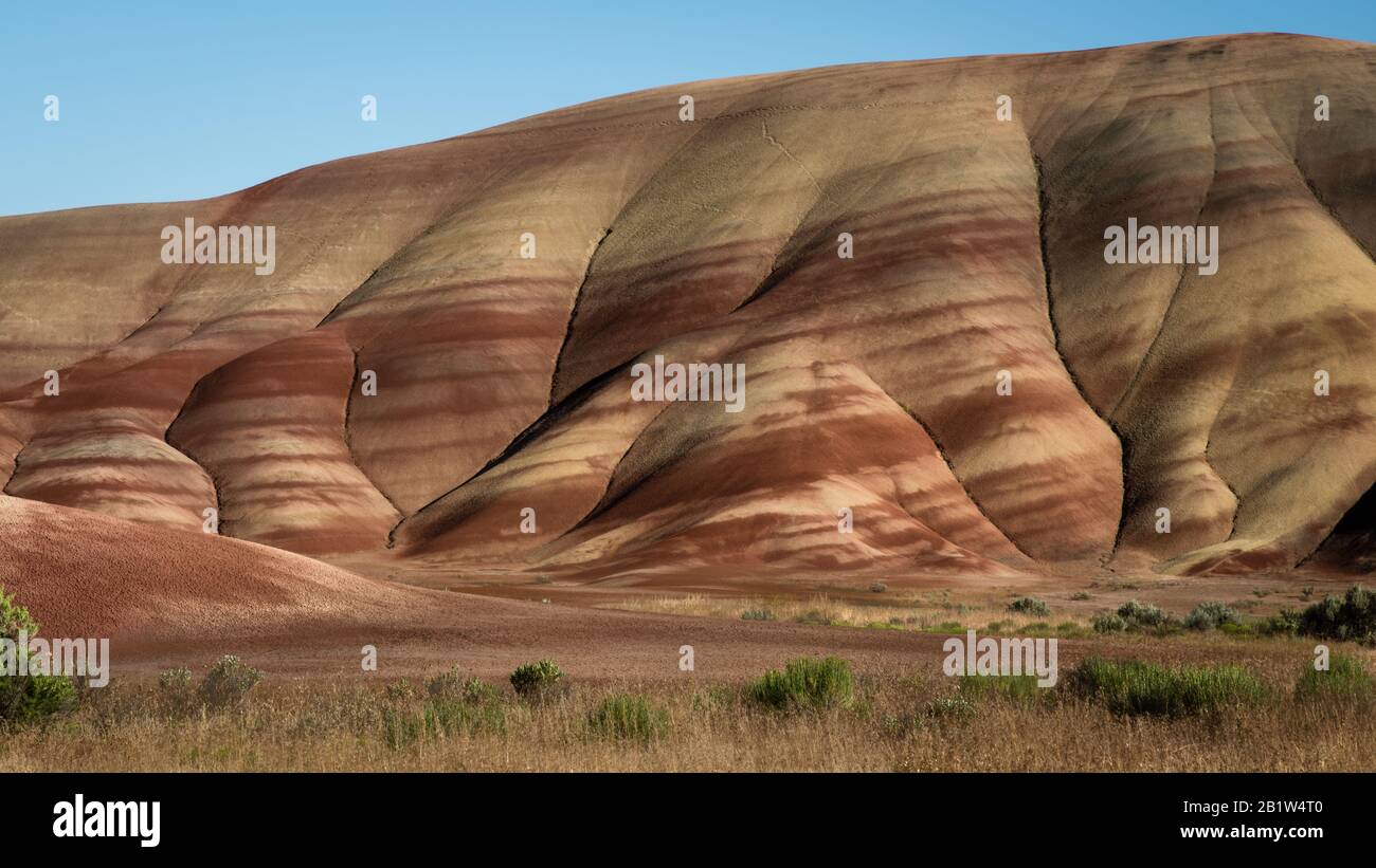 Collines peintes, de l'Oregon Banque D'Images