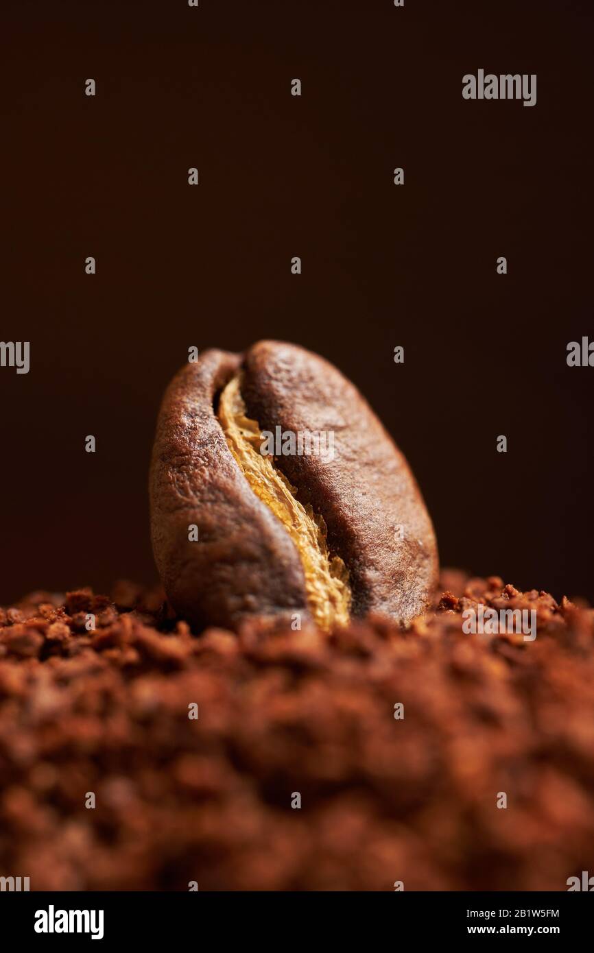 Grain de café sur le café moulu et fond brun. Gros plan. Banque D'Images