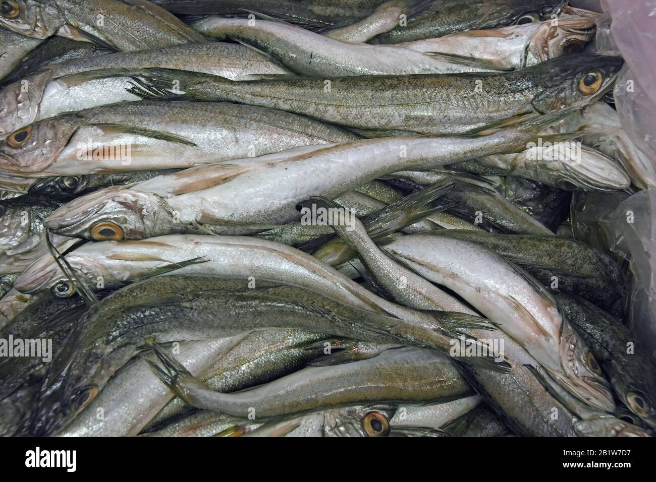 Poisson à vendre dans le magasin Banque D'Images