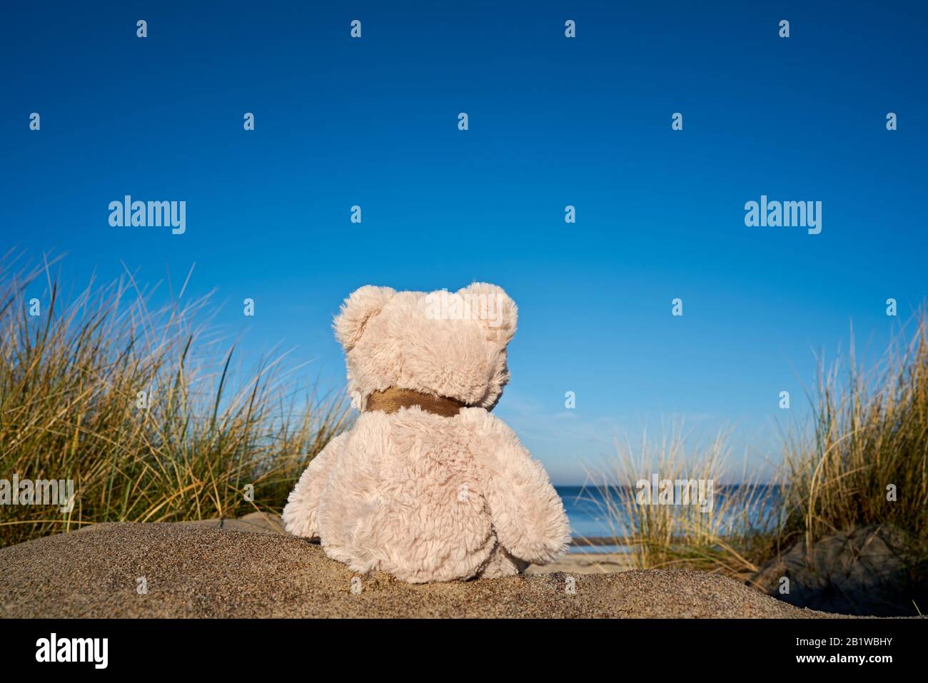 Triste ours en peluche avec un fanfare sur la plage de la mer Baltique près de Warnemünde en Allemagne Banque D'Images