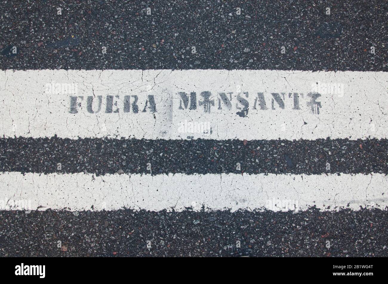 Capital Federal, Buenos Aires / Argentine; 22 janvier 2016: Message contre Monsanto Company et ses affaires de cultures génétiquement modifiées et toxique elle Banque D'Images