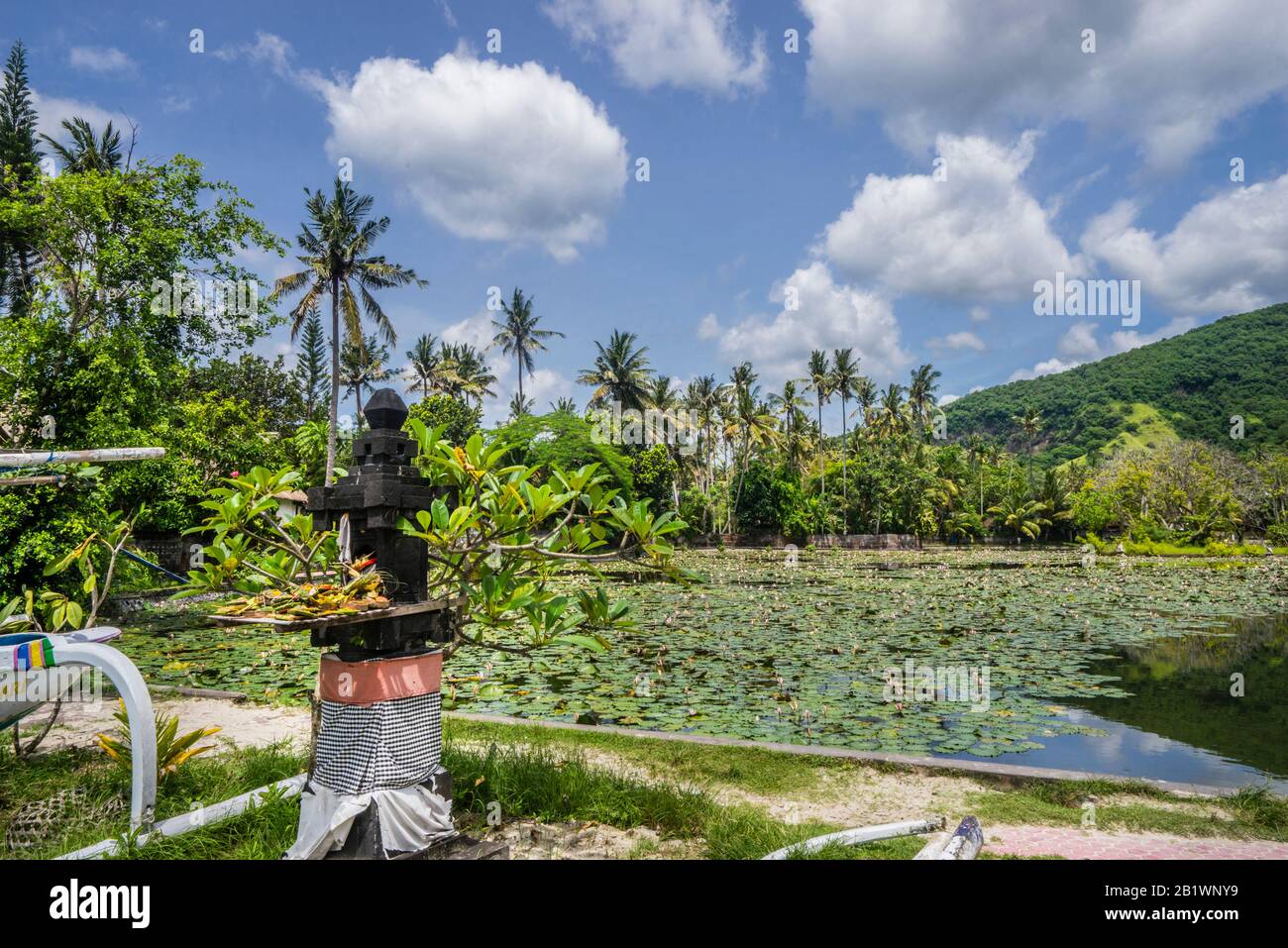Vue sur le lagon de lotus à Candidasa, Bali est, Indonésie Banque D'Images