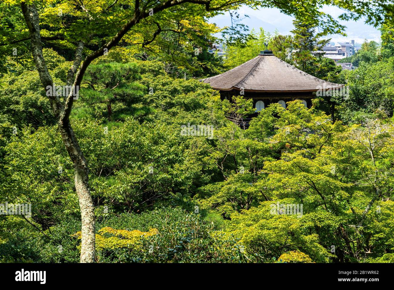 Le bâtiment principal (Kannon Hall) du temple de Ginkakuji (Pavillon d'argent) émergeant entre les arbres, Kyoto, Japon Banque D'Images