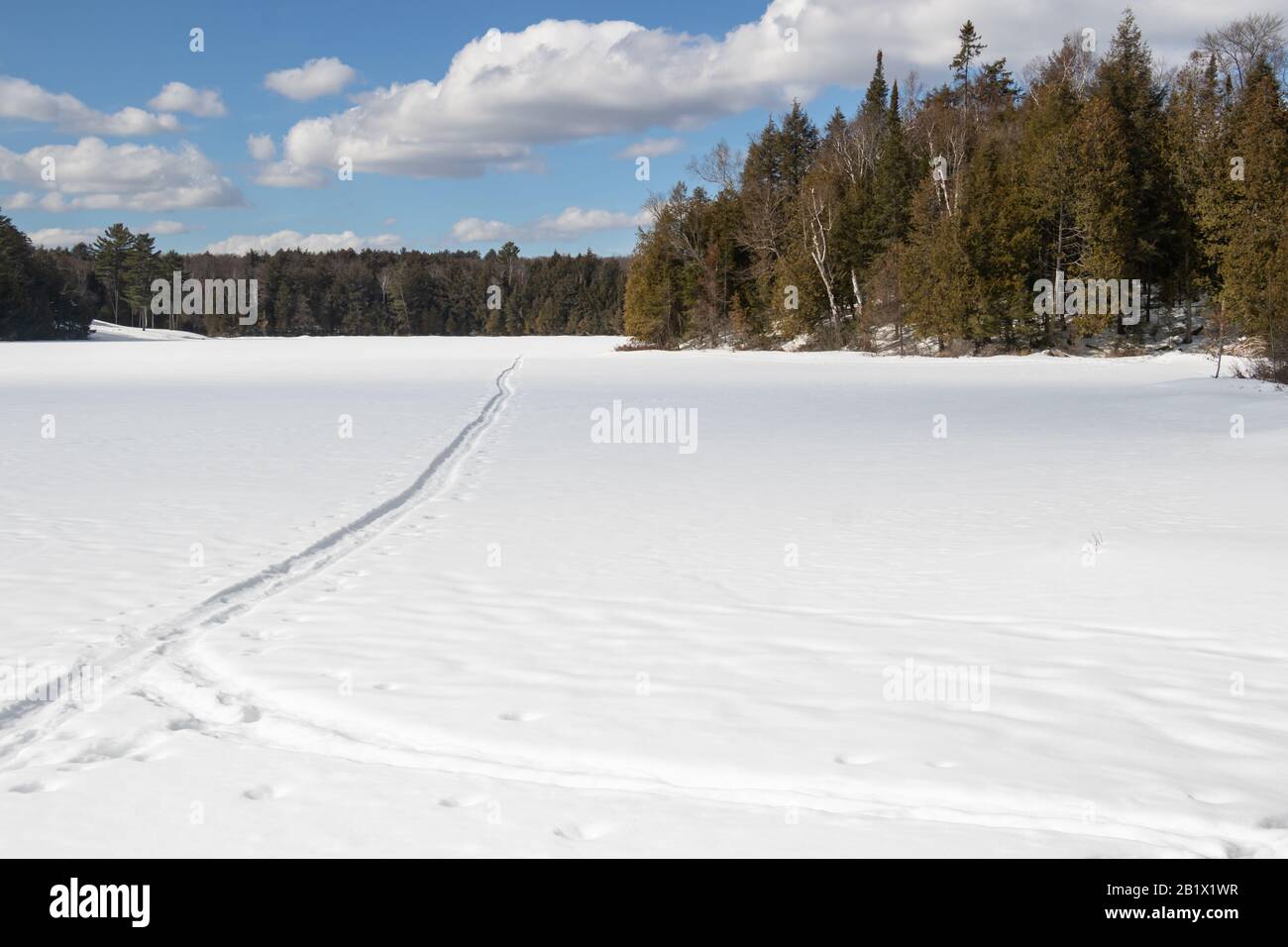 Les pistes traversent un lac enneigé gelé sous un magnifique ciel bleu à Muskoka, en Ontario. Banque D'Images