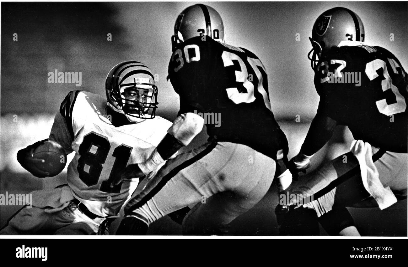 Cincinnati Bengal dos en course face de 2 Los Angeles Raiders dedans Match de football NFL à Los Angeles Coliseum Banque D'Images