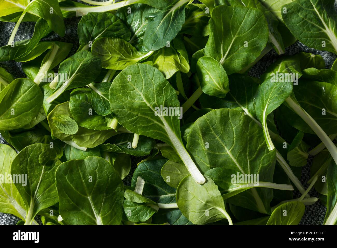 Vert Brut Biologique Bébé Bok Choy Verts Dans Un Bunch Banque D'Images