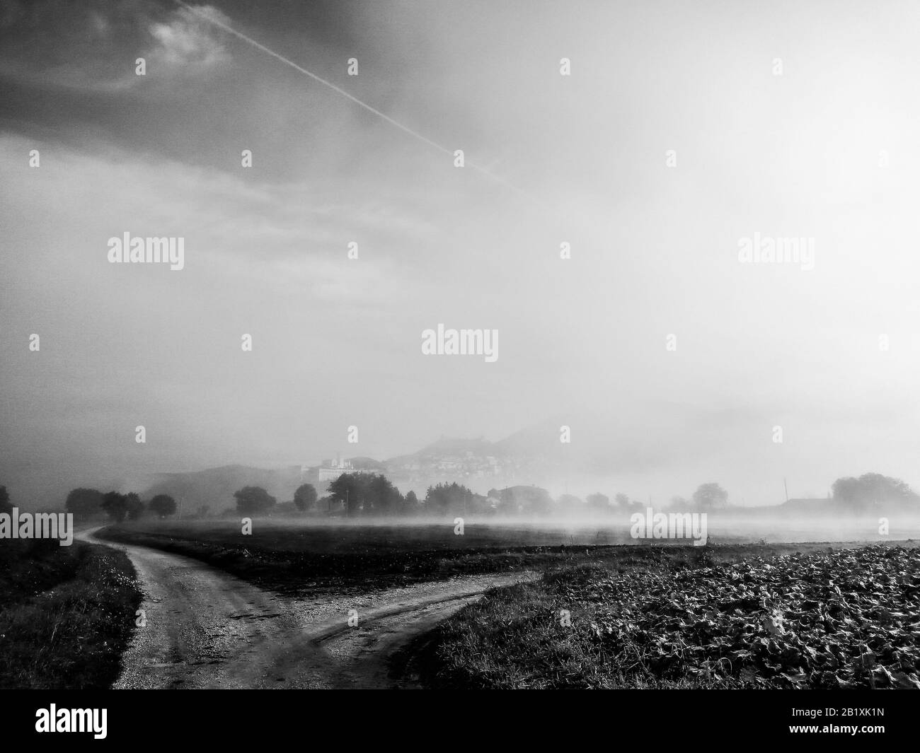 Vue surréaliste de l'église d'Assise et de Saint François (Ombrie, Italie) au milieu du brouillard Banque D'Images