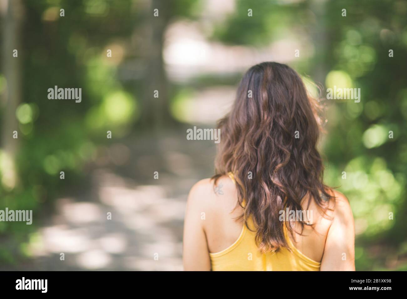Portrait d'une vue arrière d'une femme debout dans une forêt. Banque D'Images