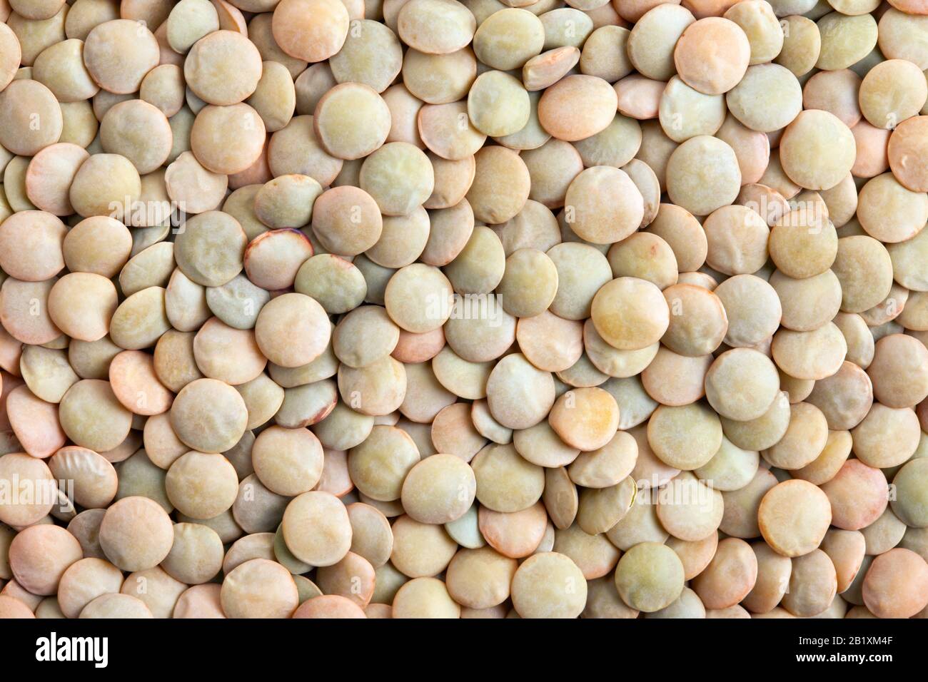 Lentilles vertes texture fond. Les lentilles sont riches en protéines, en  glucides, en fibres et en matières grasses Photo Stock - Alamy