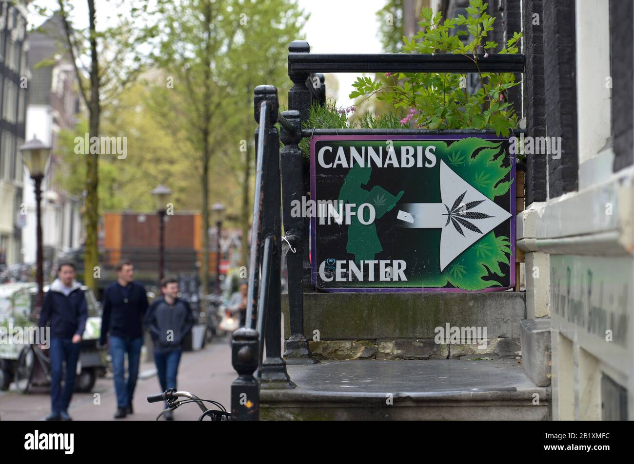 Centre D'Information Sur Le Cannabis, Amsterdam, Niederlande Banque D'Images