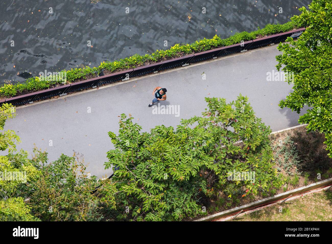 Vue aérienne d'un coureur en forme de jogging dans le parc sous le soleil du milieu de l'après-midi, à côté d'un canal fluvial propre. Singapour Banque D'Images
