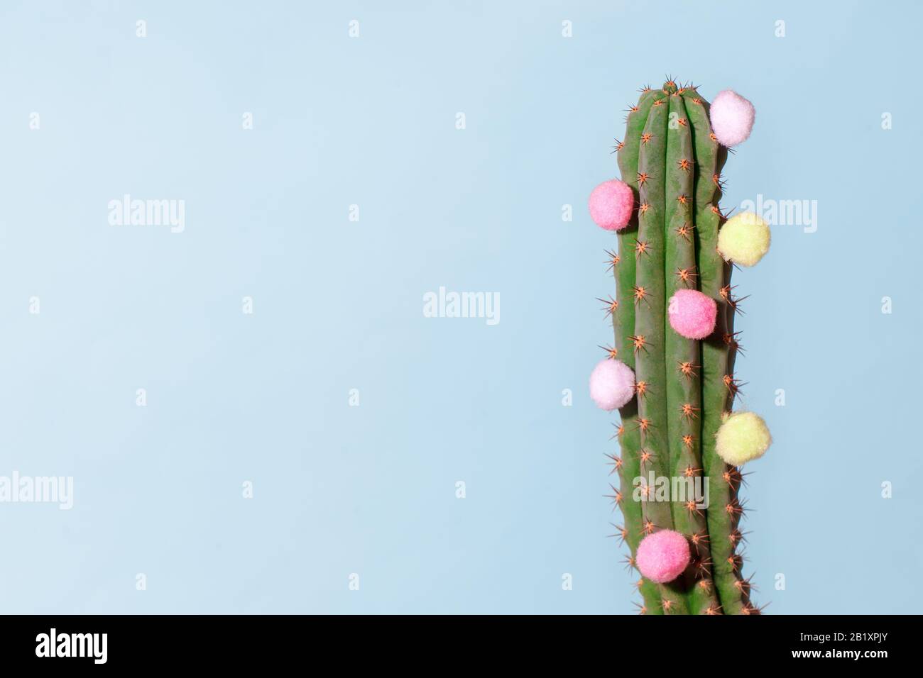 Cactus sur bleu. Galerie D'Art Fashion Design. Durée De Vie Minimale. Concept avec boules colorées moelleuses, détail, espace de copie, vacances d'été créatif Banque D'Images