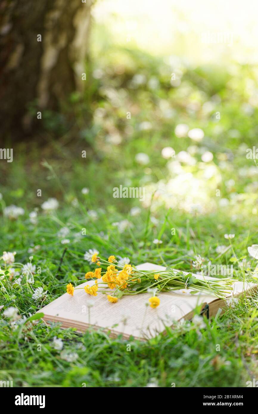 Livre ouvert et bouquet de fleurs jaunes sur une herbe verte contre de belles lumières de coucher de soleil avec rayon de soleil, foyer sélectif, étude, détente rêve concept, cop Banque D'Images