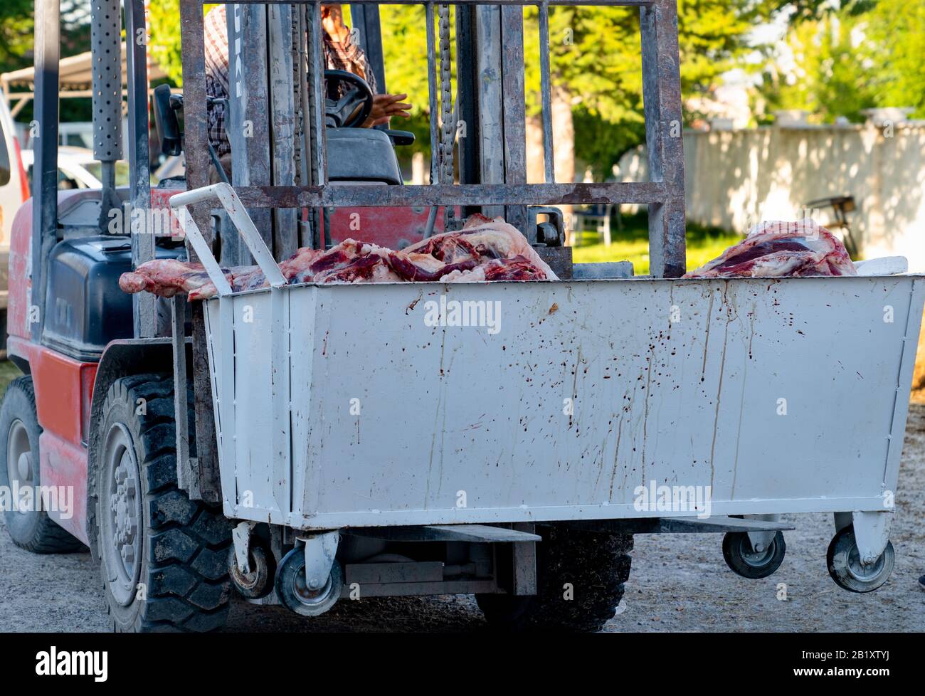 Le boucher transporte de la viande lourde avec un chariot élévateur dans un abattoir. Banque D'Images