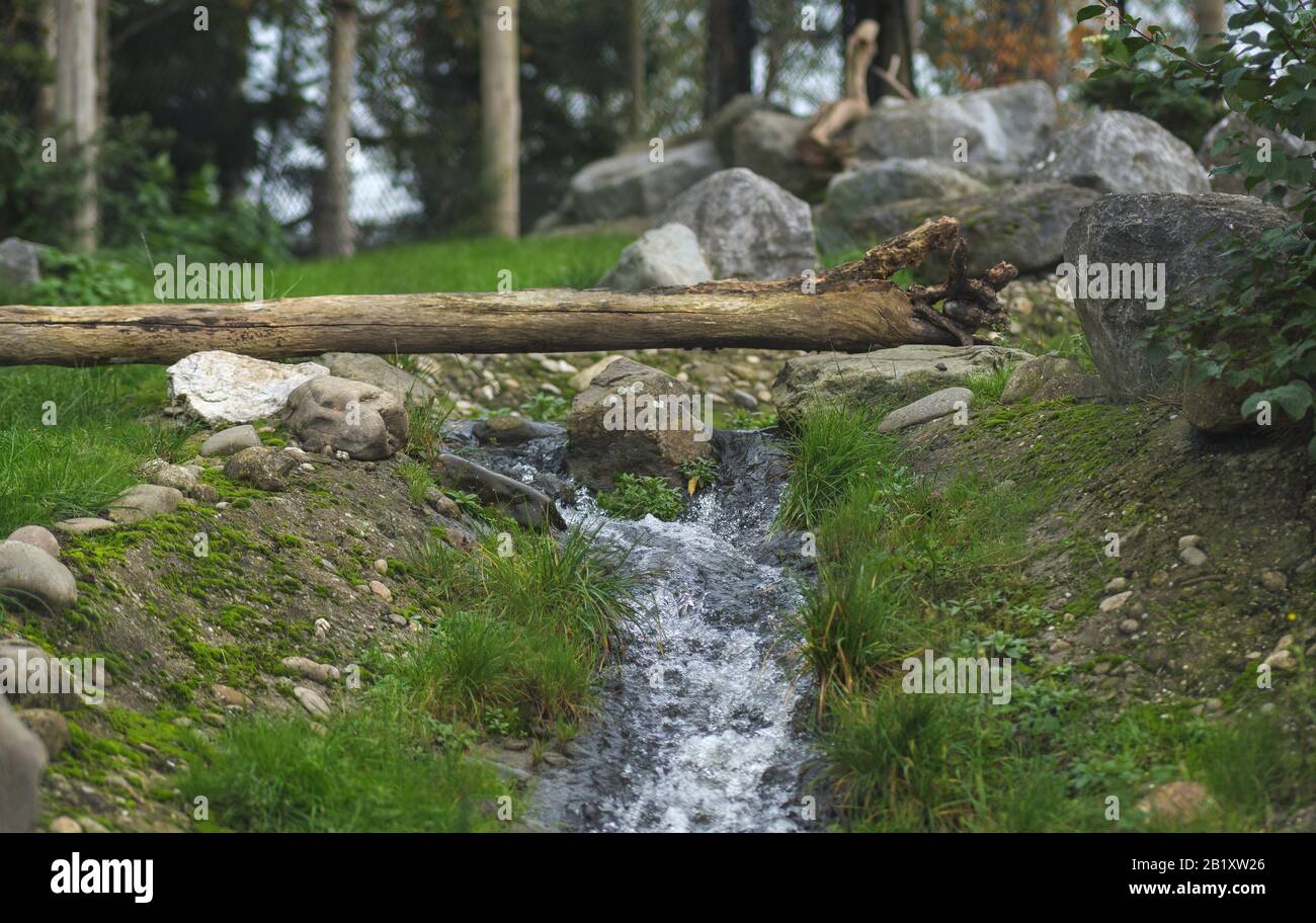 chute d'eau dans la zone verte boisée avec plantes et arbres blijdorp rotterdam pays-bas Banque D'Images