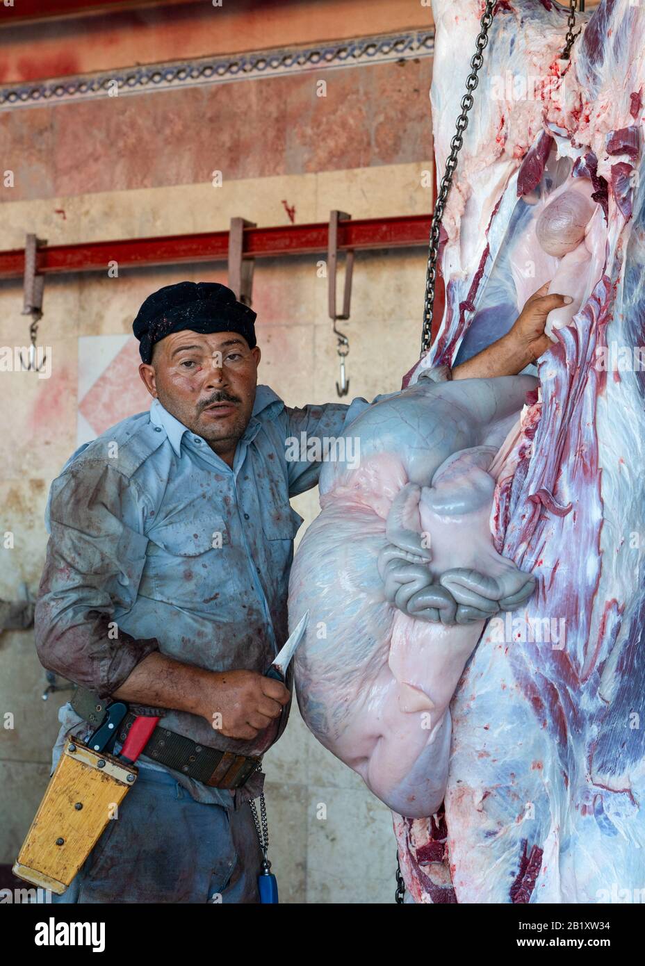 Ankara/Turquie-août 08 2019: Boucher travaillant sur la vache juste après l'abattage dans une maison d'abattage avec estomac. Banque D'Images