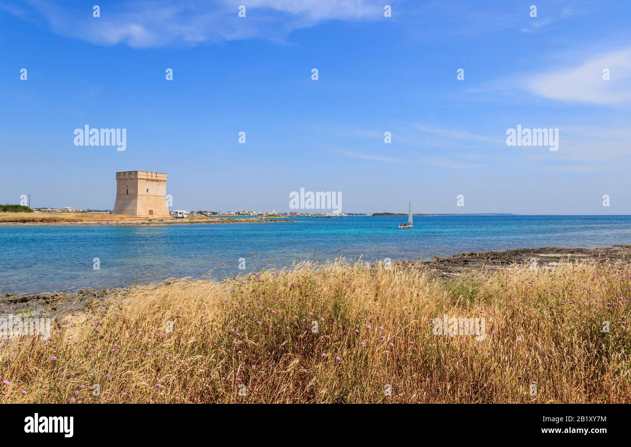 webcam maluha bay torre chianca