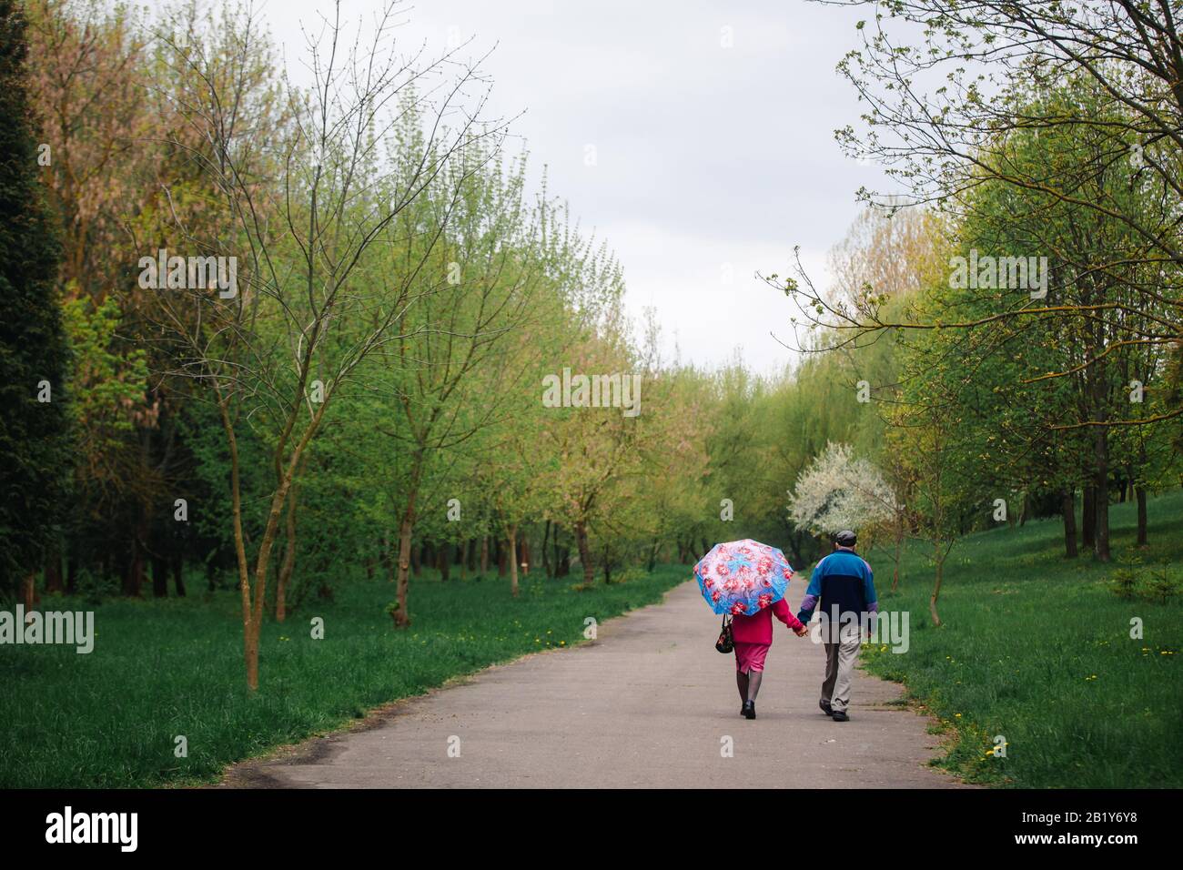 Couple senior marchant dans le parc du printemps. Homme et femme âgés avec parasol sur un jour de pluie à l'extérieur. Espace de copie. Foyer sélectif. Banque D'Images