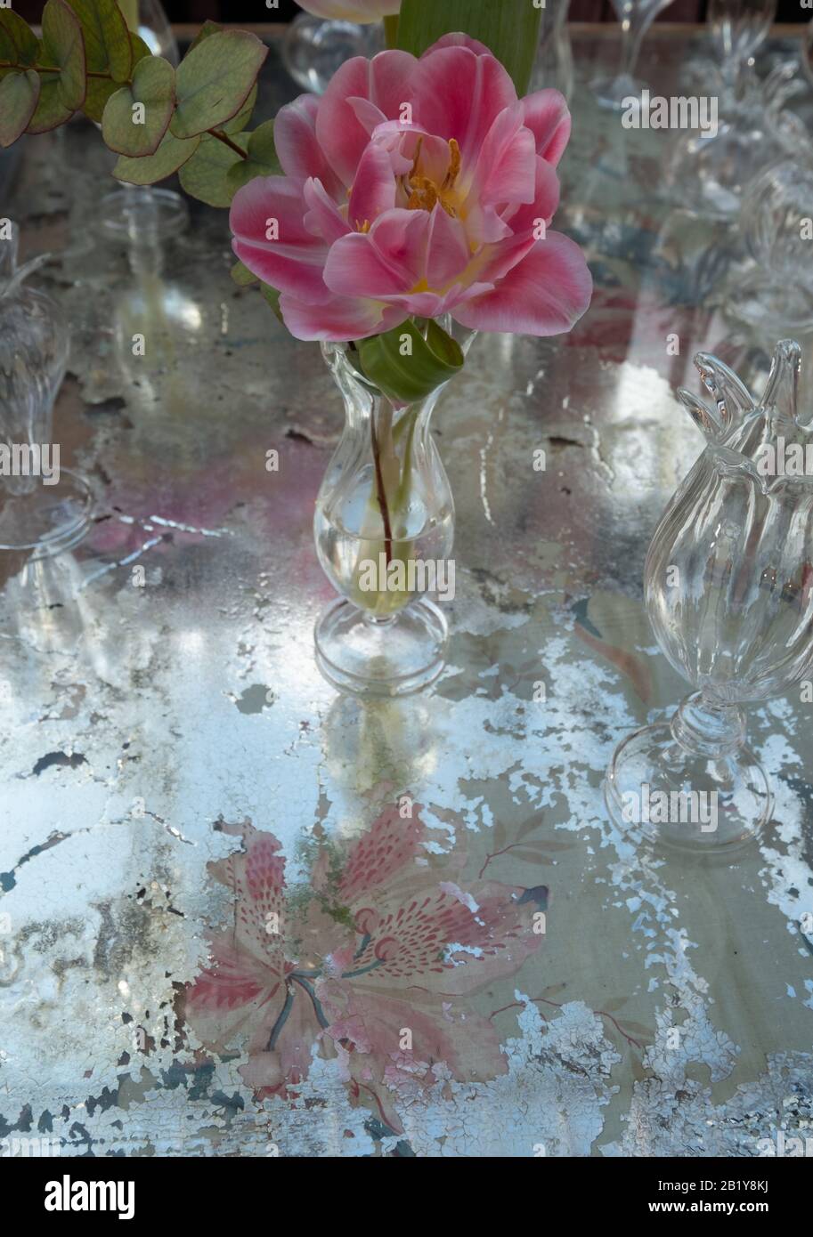 Table décorée de fleurs roses azalées dans des vases en cristal de verre. Banque D'Images